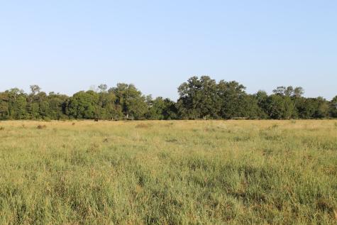 227 Ac Cr 1137 Lone Oak TX 75453