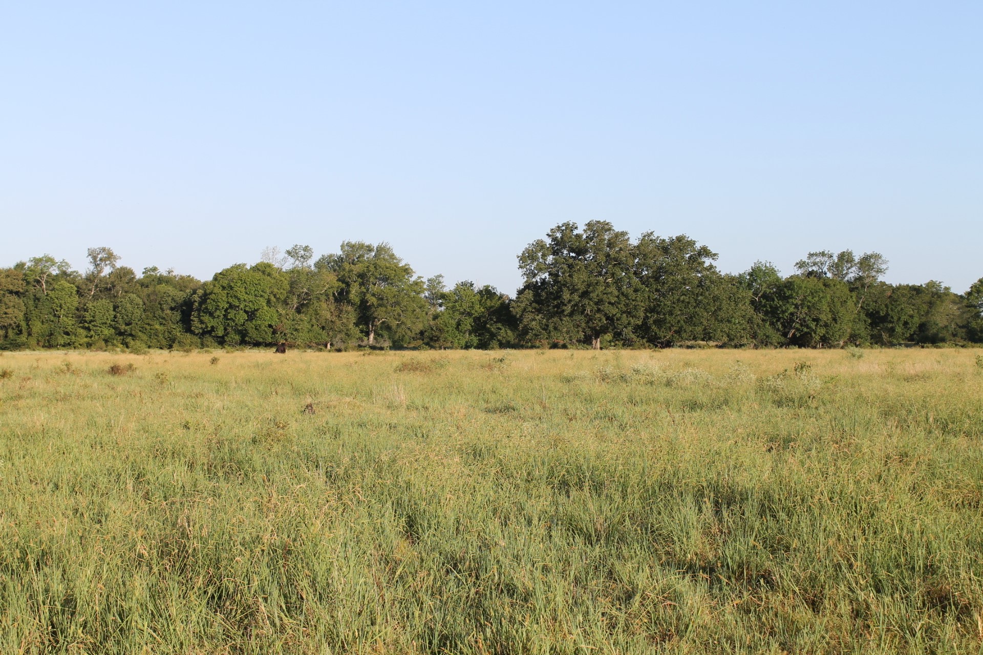 227 Ac Cr 1137 Lone Oak TX 75453