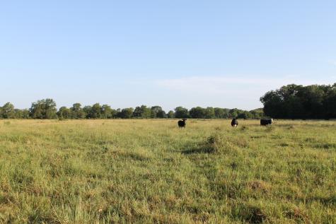 227 Ac Cr 1137 Lone Oak TX 75453