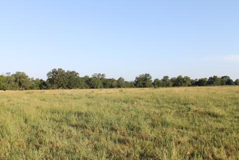 227 Ac Cr 1137 Lone Oak TX 75453