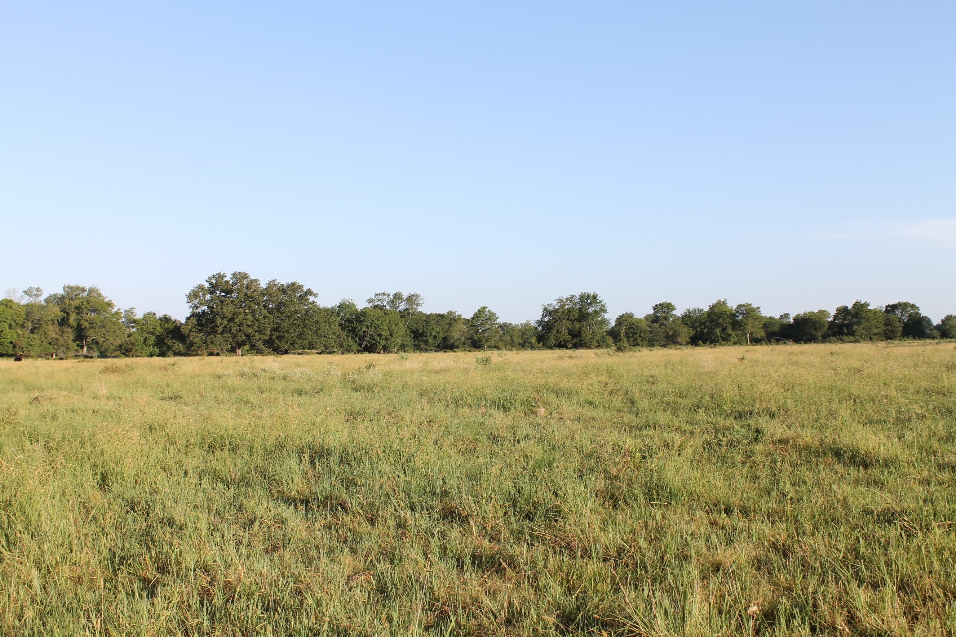227 Ac Cr 1137 Lone Oak TX 75453