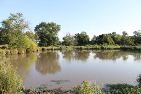 227 Ac Cr 1137 Lone Oak TX 75453