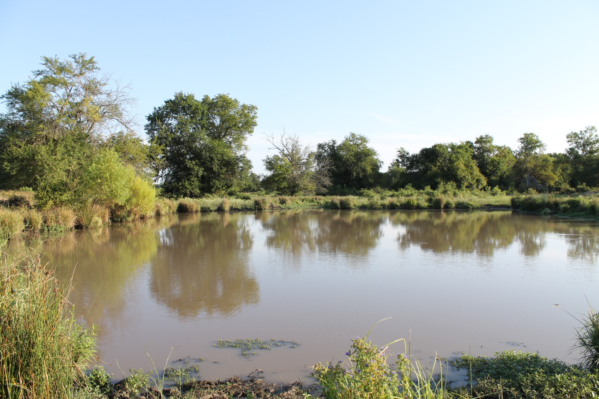 227 Ac Cr 1137 Lone Oak TX 75453