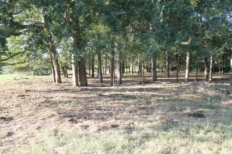 227 Ac Cr 1137 Lone Oak TX 75453