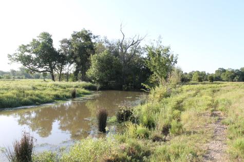 227 Ac Cr 1137 Lone Oak TX 75453