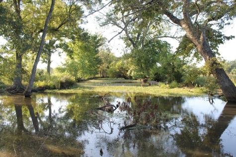 227 Ac Cr 1137 Lone Oak TX 75453