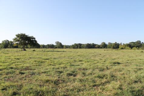 227 Ac Cr 1137 Lone Oak TX 75453