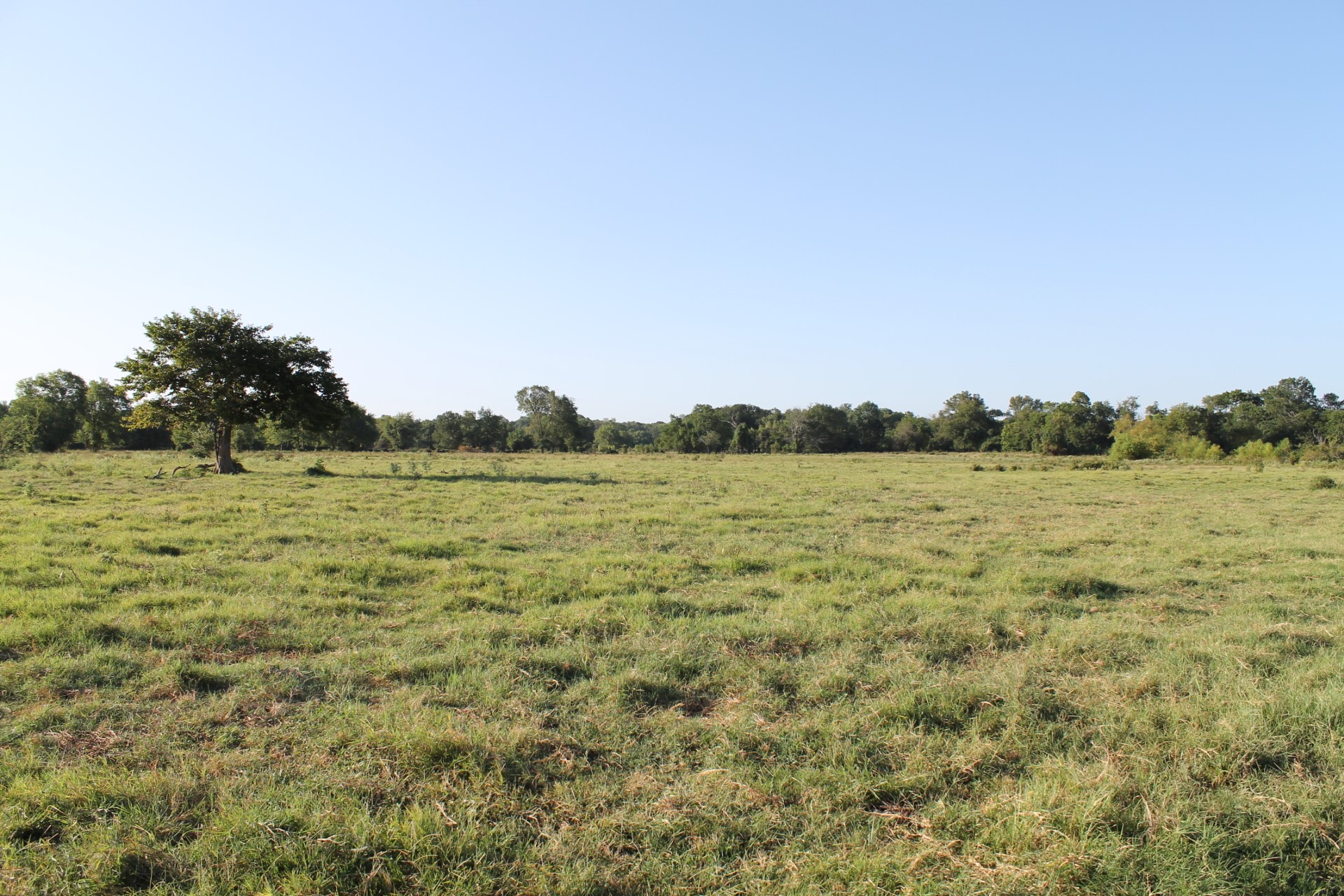 227 Ac Cr 1137 Lone Oak TX 75453