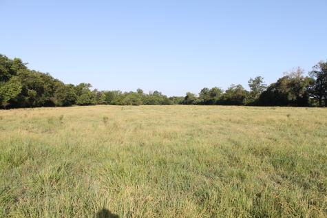 227 Ac Cr 1137 Lone Oak TX 75453