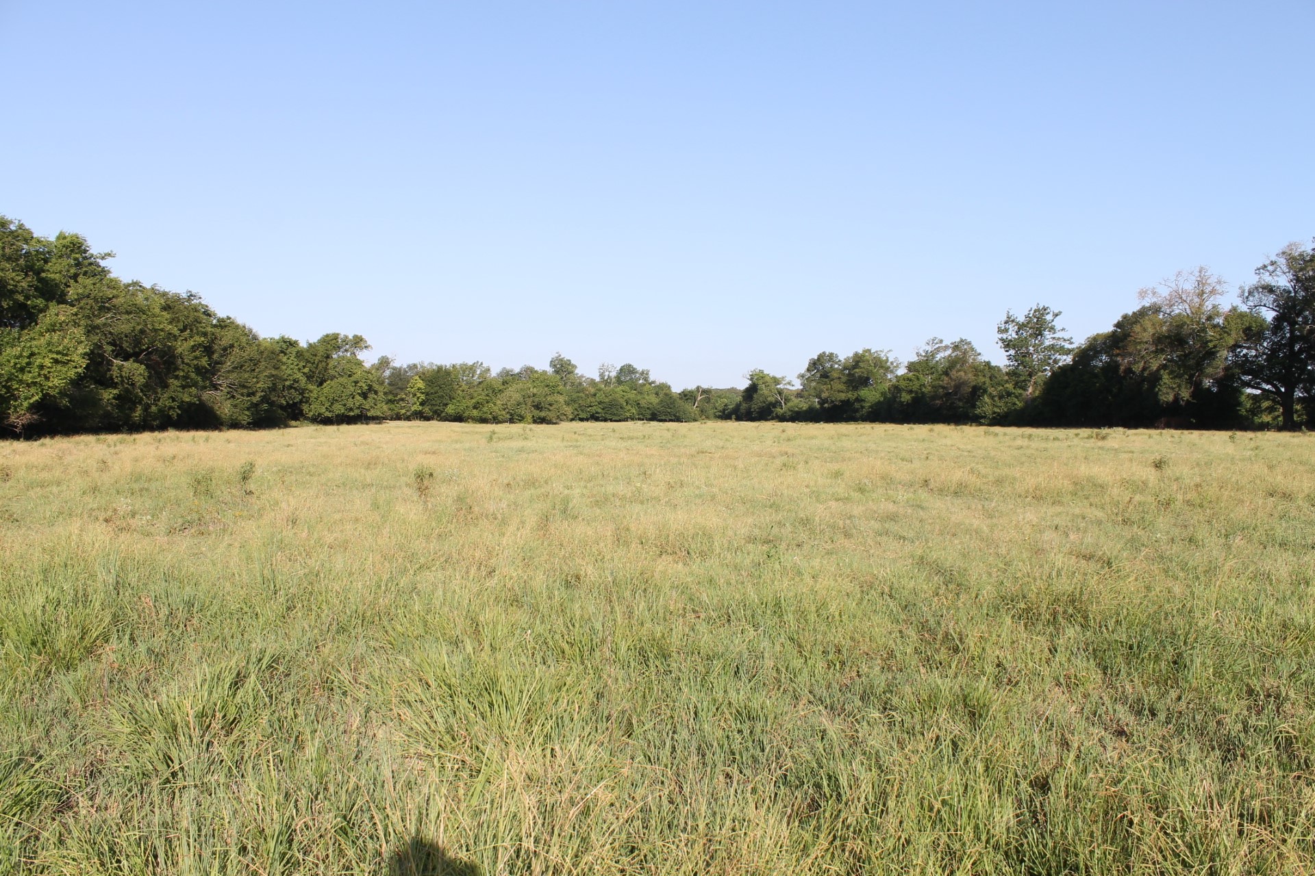 227 Ac Cr 1137 Lone Oak TX 75453