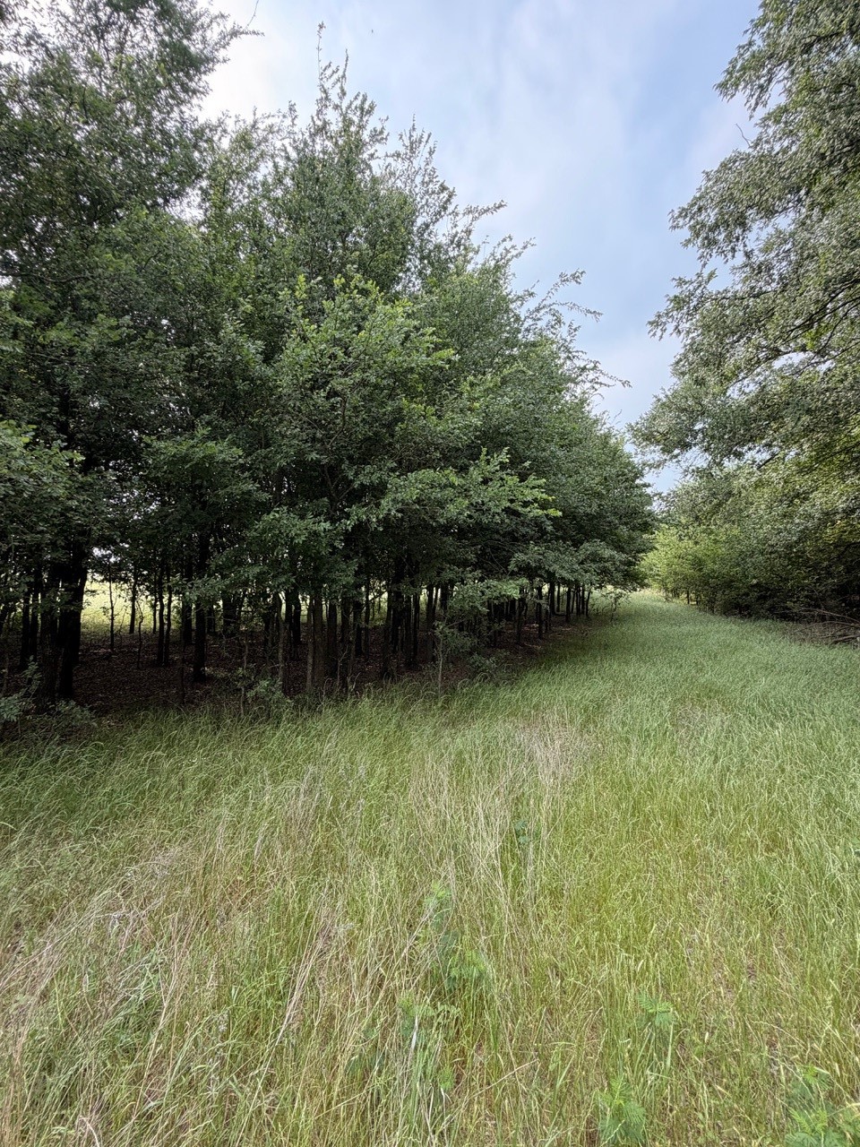 345 Cr 3346 Hubbard TX 76648
