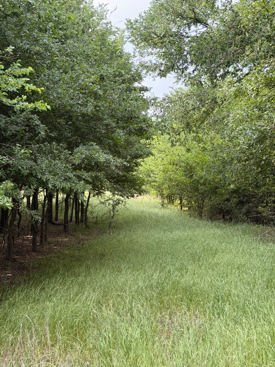 345 Cr 3346 Hubbard TX 76648