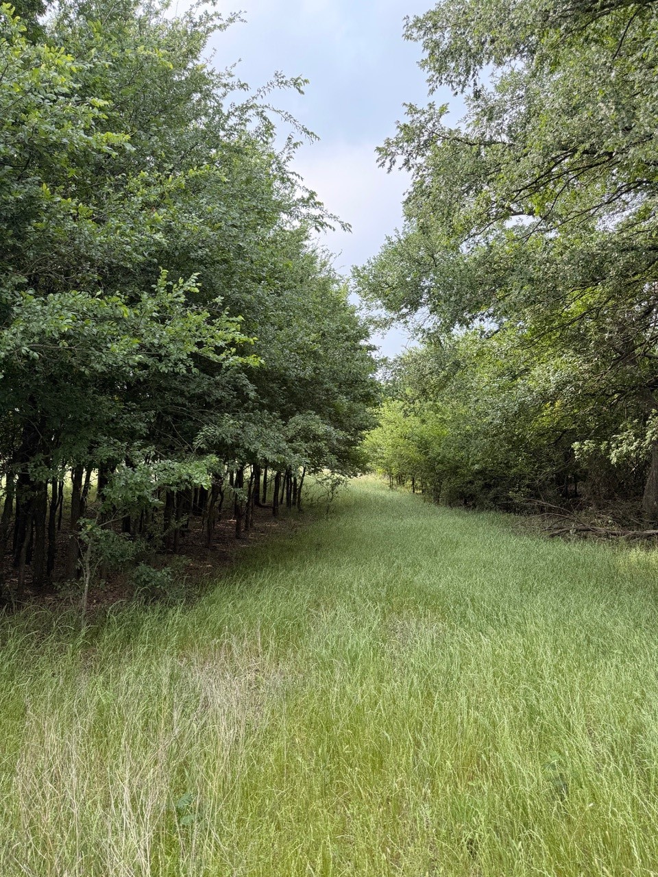 345 Cr 3346 Hubbard TX 76648