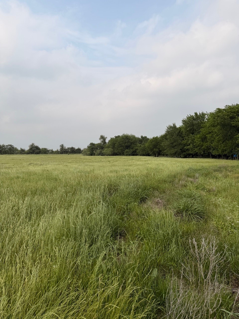 345 Cr 3346 Hubbard TX 76648