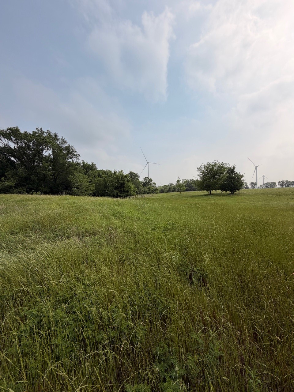 345 Cr 3346 Hubbard TX 76648
