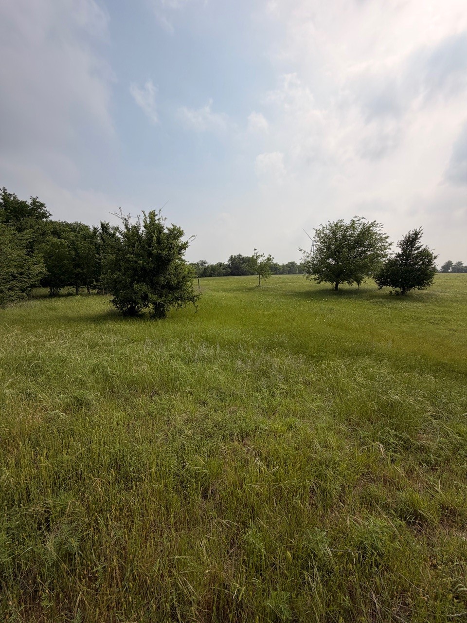345 Cr 3346 Hubbard TX 76648