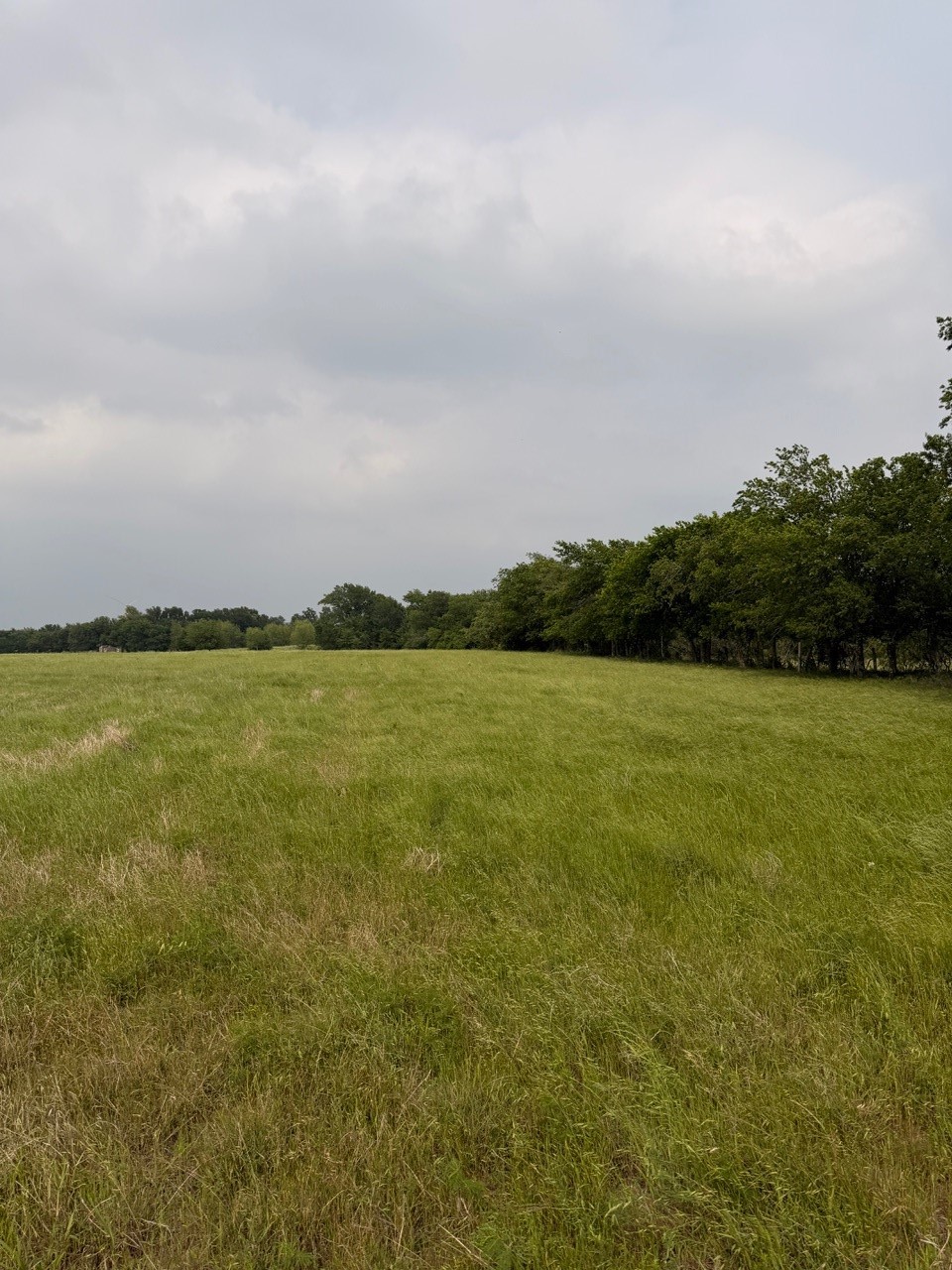 345 Cr 3346 Hubbard TX 76648