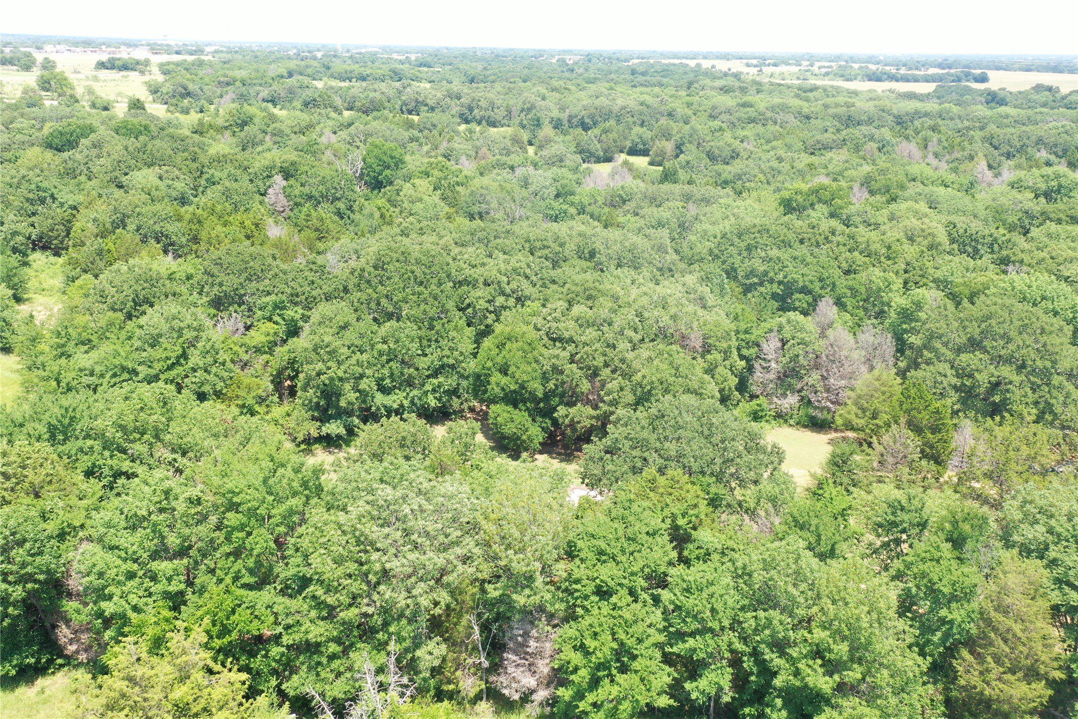 381 Paddock Drive Mabank TX 75156