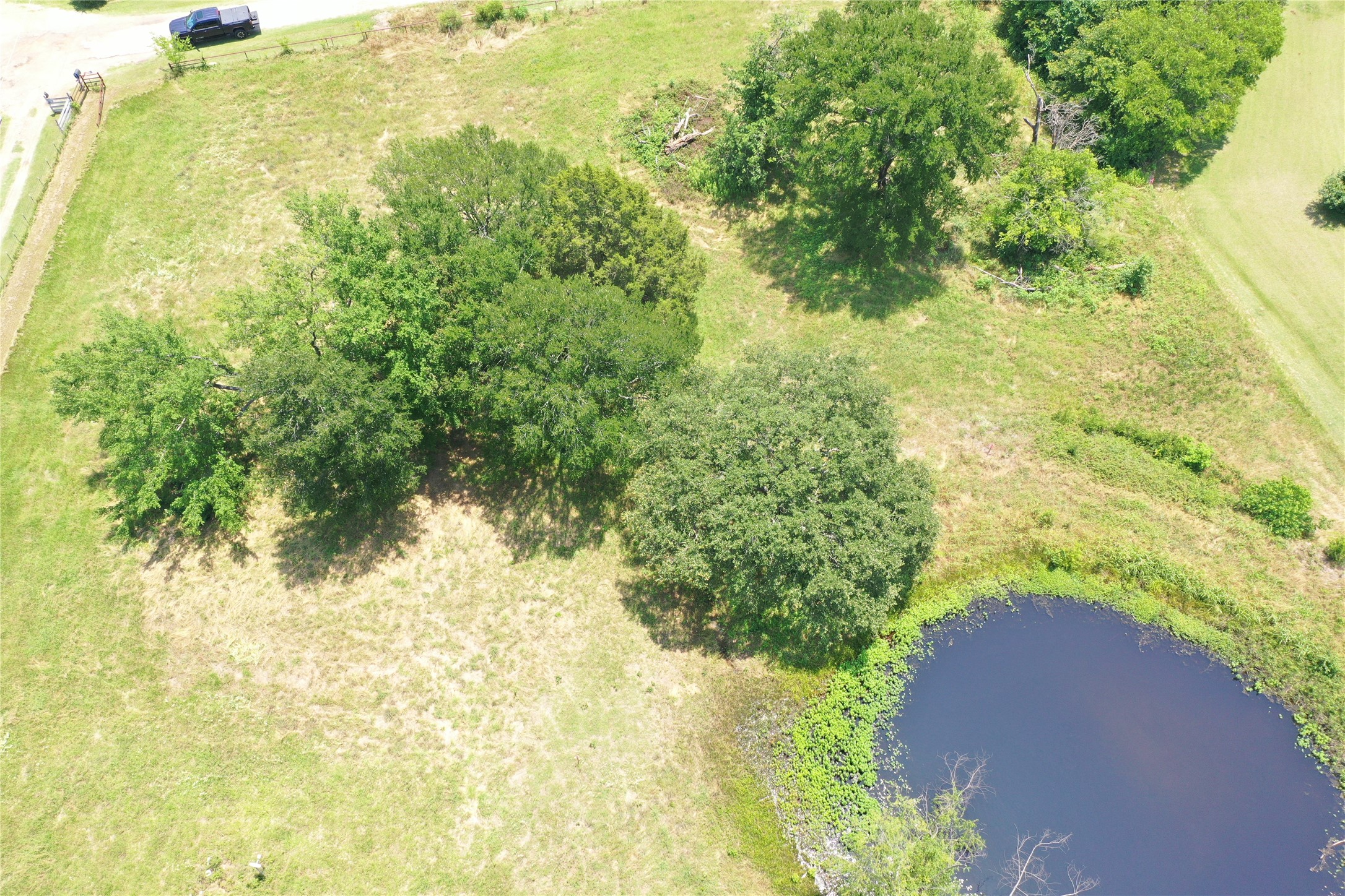381 Paddock Drive Mabank TX 75156
