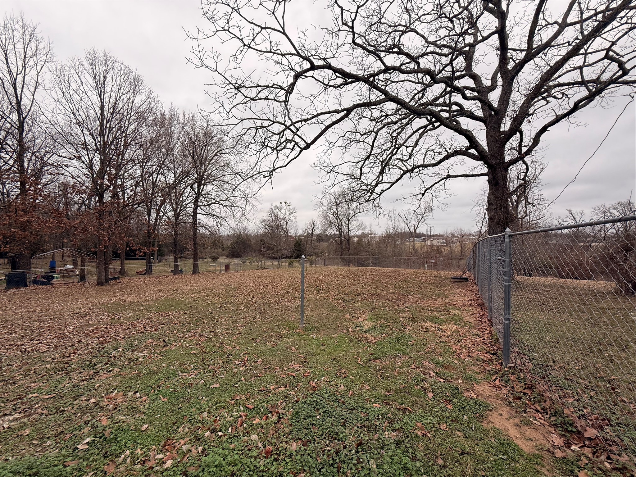 Lots 303 And 382 Broken Bow Quitman TX 75783