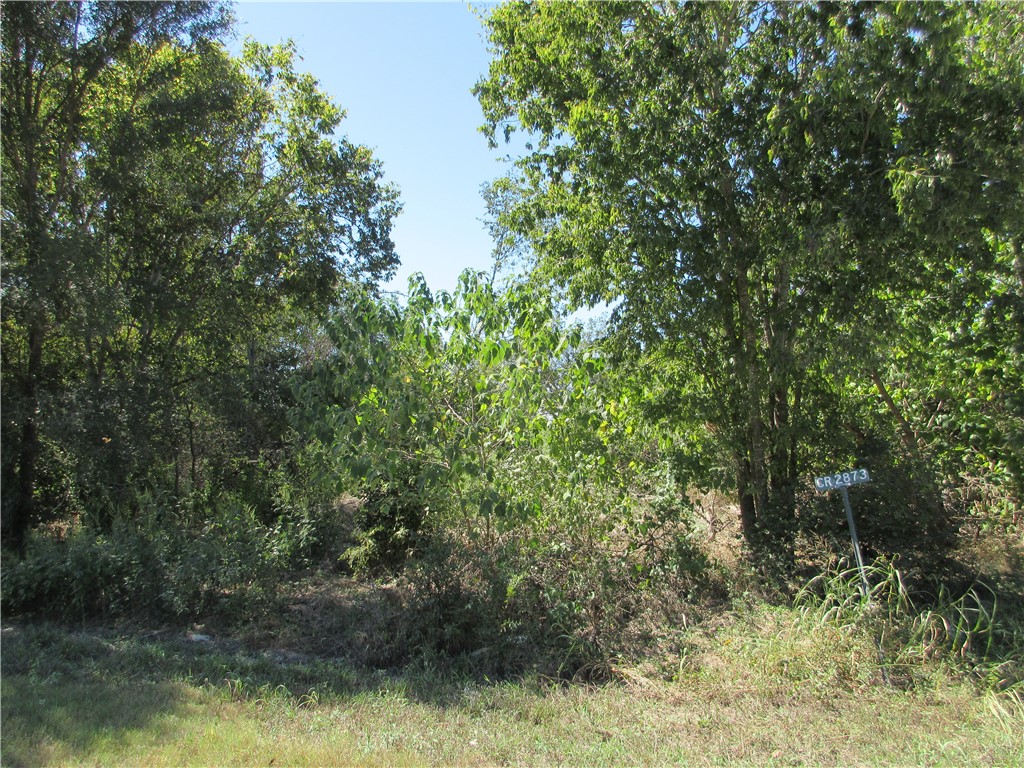 0 Cr 2872 Street Marlin TX 76661