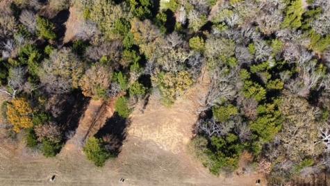 49 N Oakmont Court Gordonville TX 76245