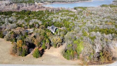 49 N Oakmont Court Gordonville TX 76245