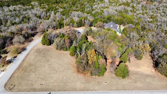 49 N Oakmont Court Gordonville TX 76245