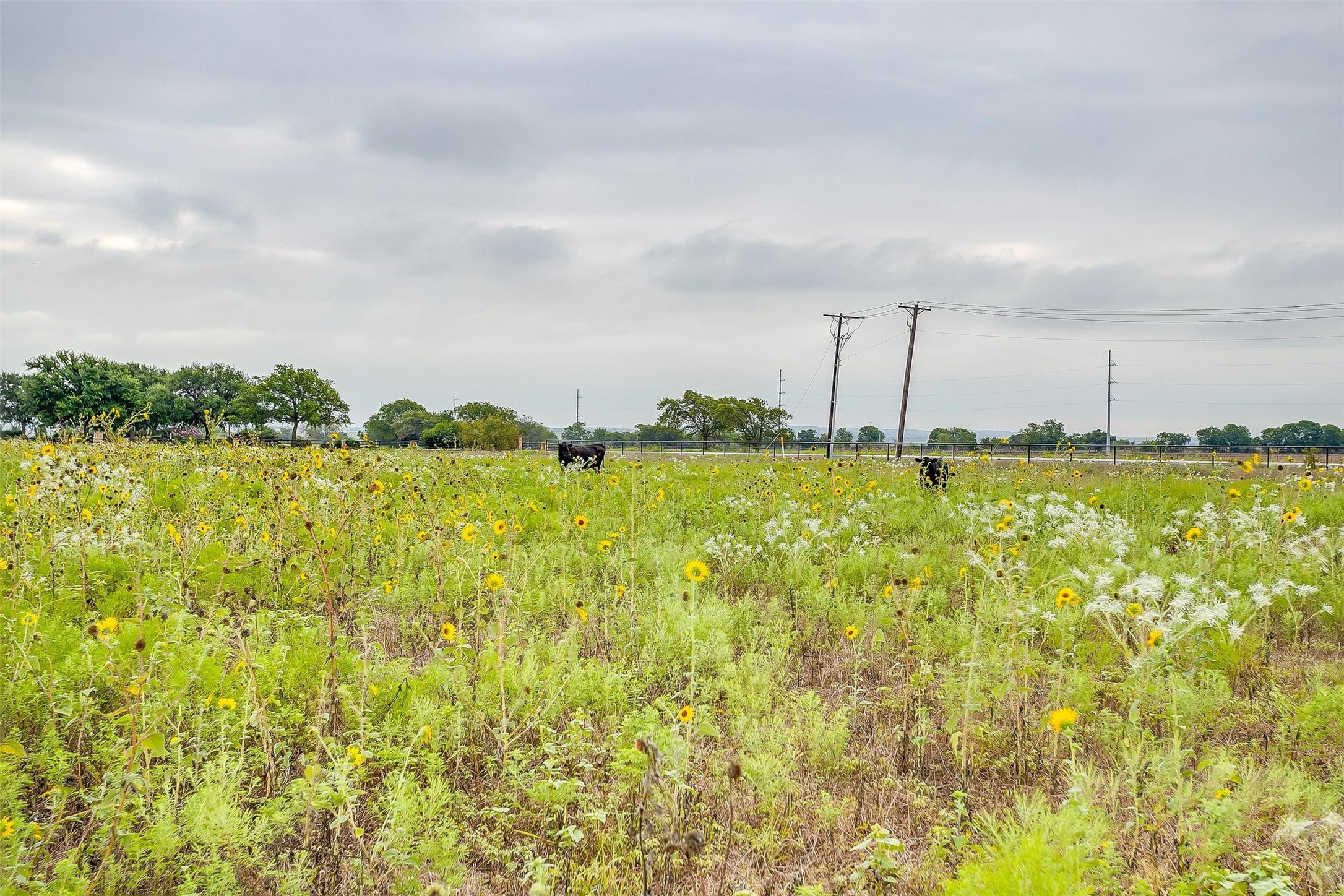 12700 W Rocky Creek Road Crowley TX 76036