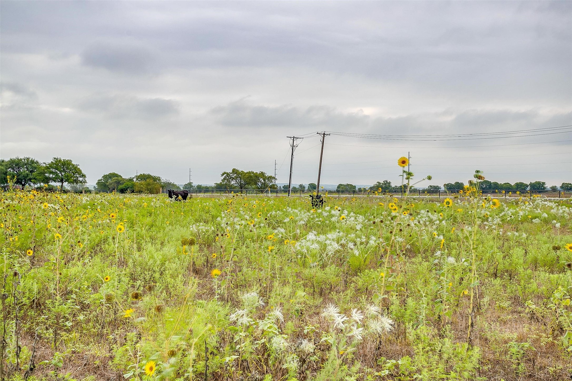 12700 W Rocky Creek Road Crowley TX 76036