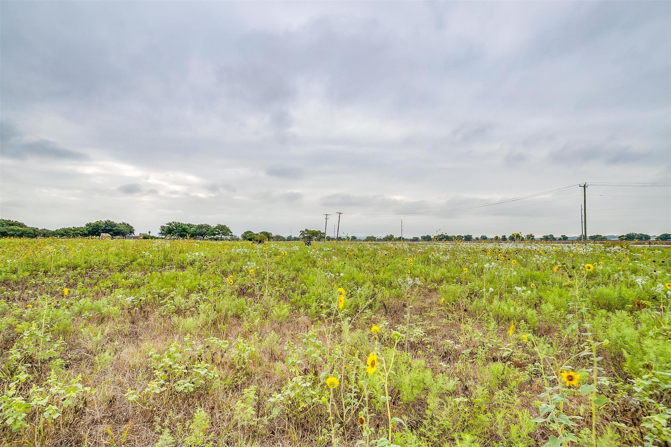 12700 W Rocky Creek Road Crowley TX 76036