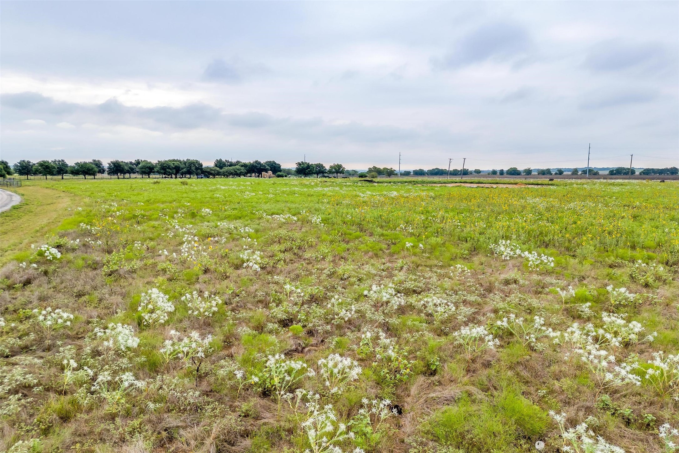 12700 W Rocky Creek Road Crowley TX 76036