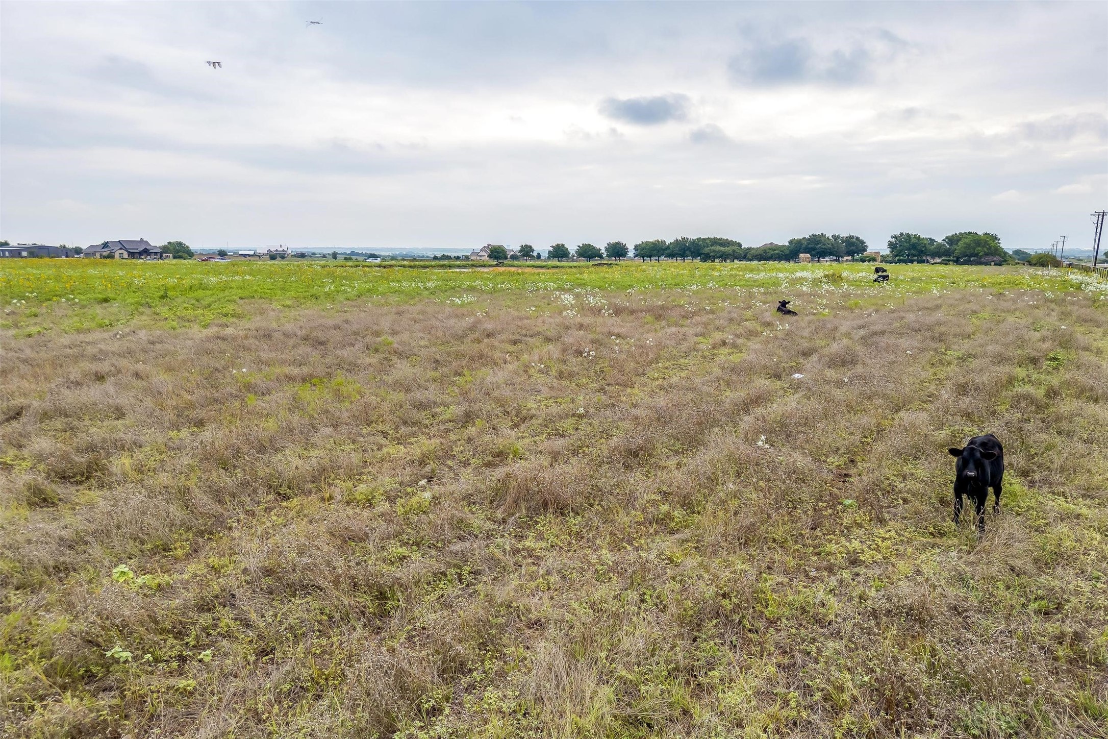 12700 W Rocky Creek Road Crowley TX 76036
