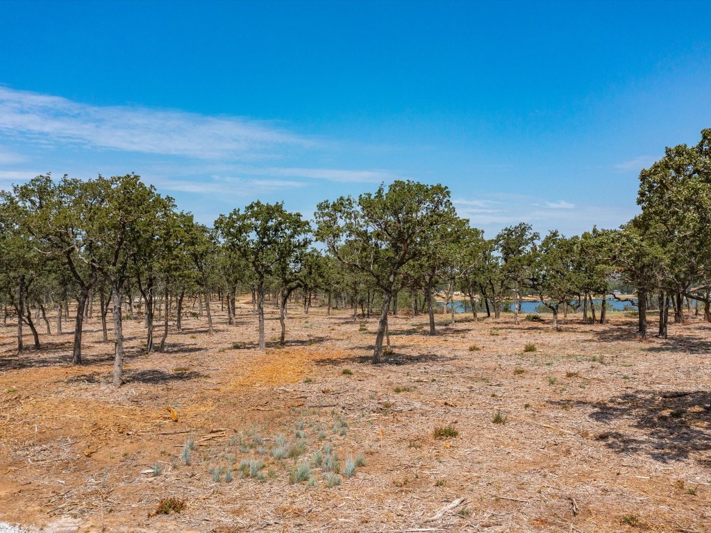 Lot 10 Choate Bowie TX 76230