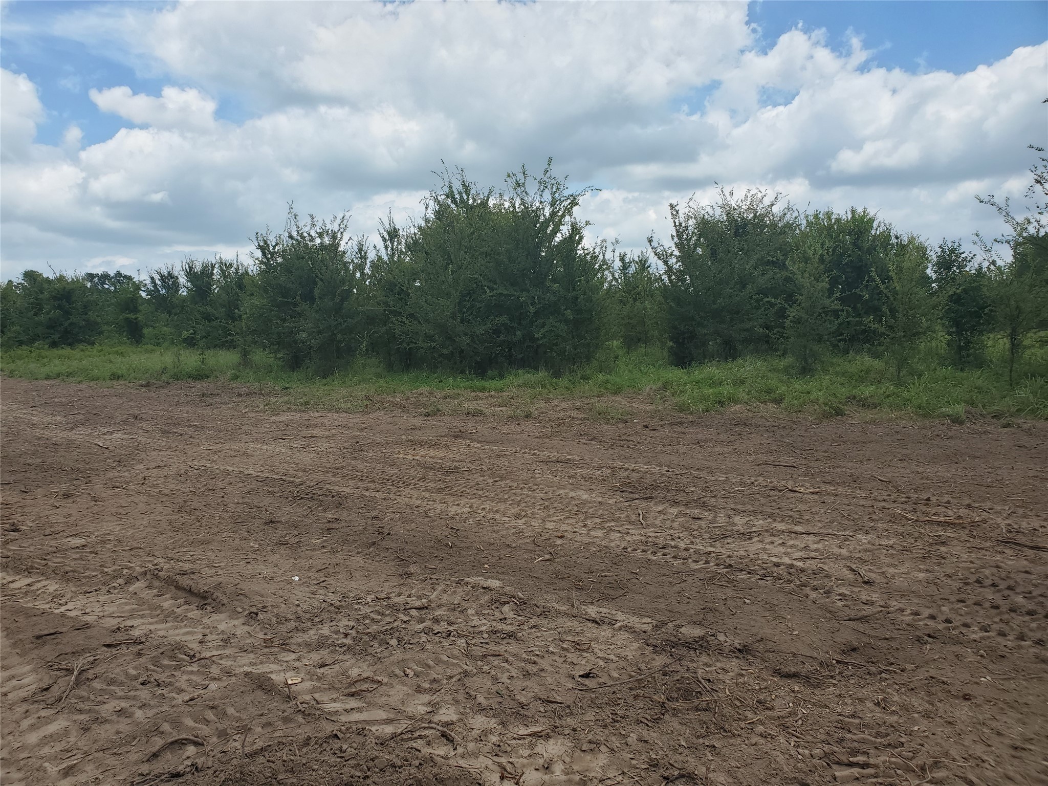Tbd Rs County Road 2470 Emory TX 75440