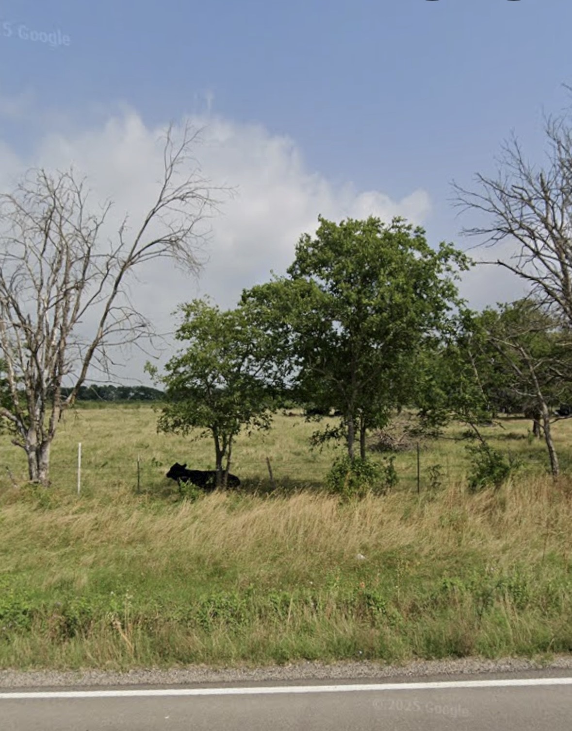 1105 Bell Street Coolidge TX 76635