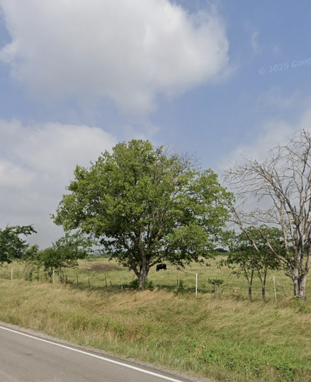 1105 Bell Street Coolidge TX 76635
