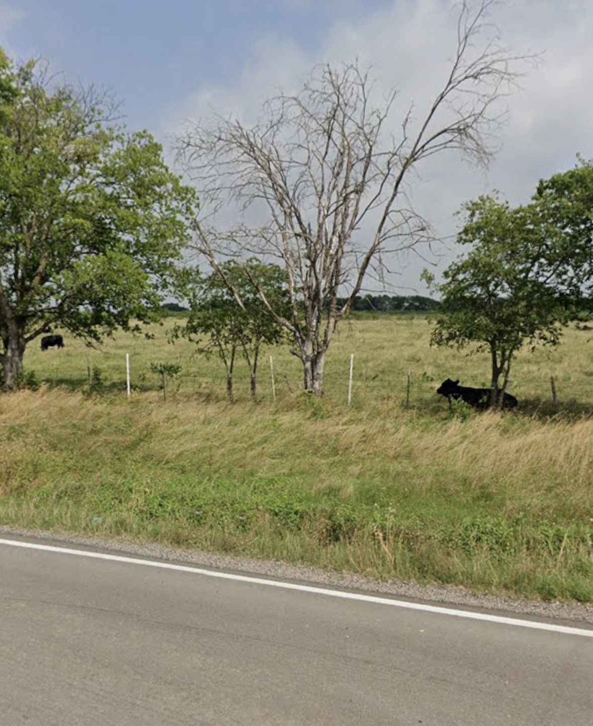 1105 Bell Street Coolidge TX 76635