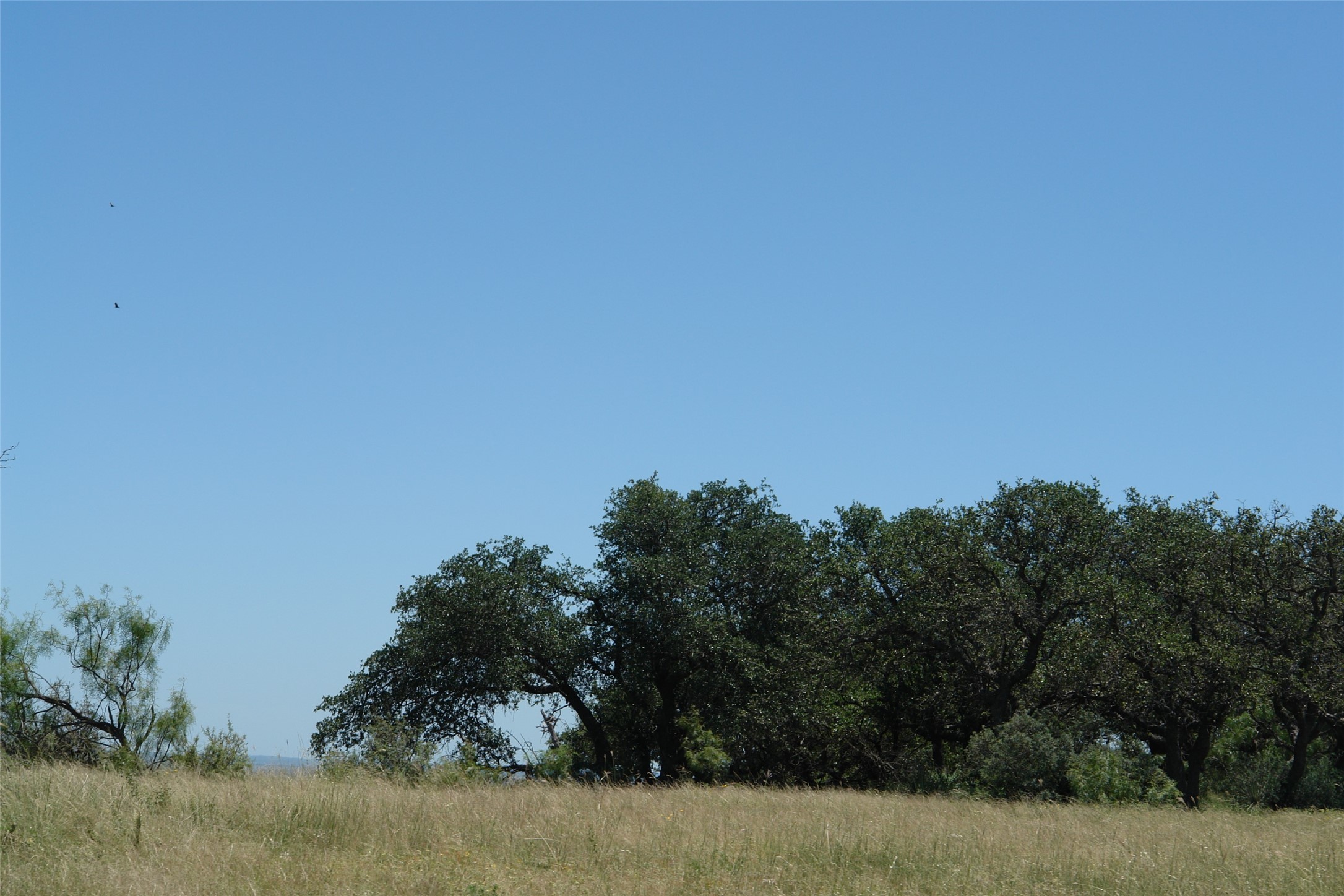0003 Cr 146 Brady TX 76825