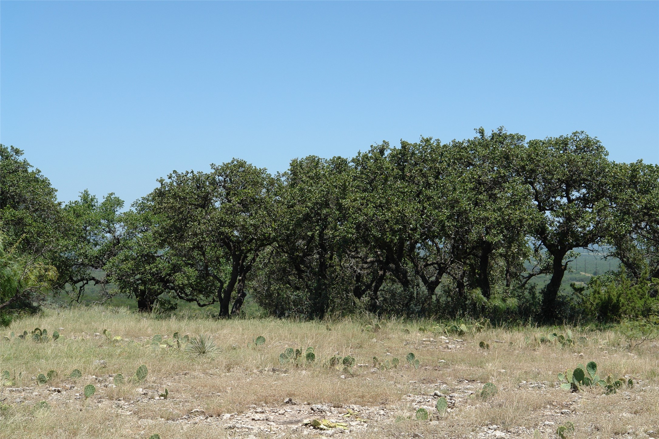 0003 Cr 146 Brady TX 76825