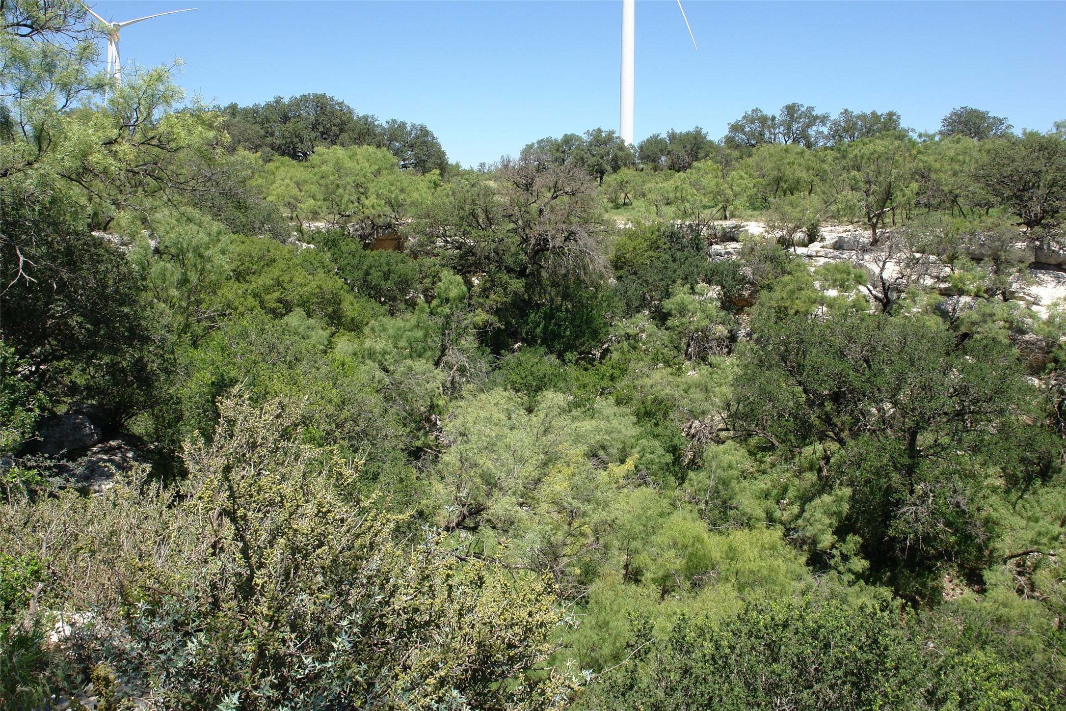 0003 Cr 146 Brady TX 76825