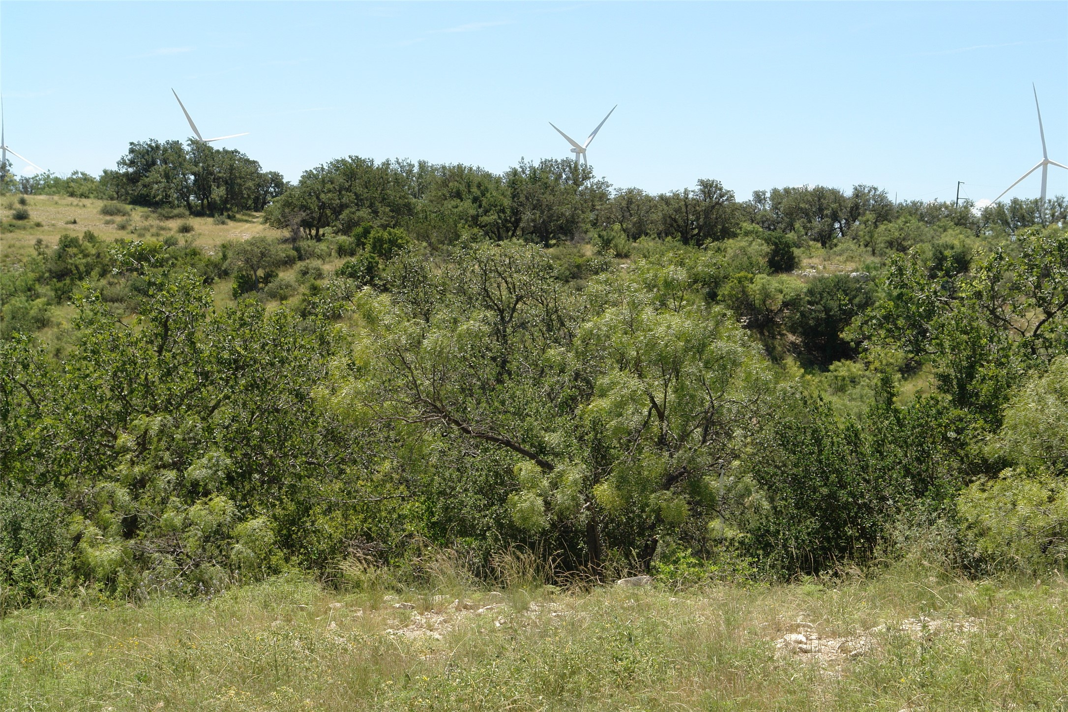 0003 Cr 146 Brady TX 76825