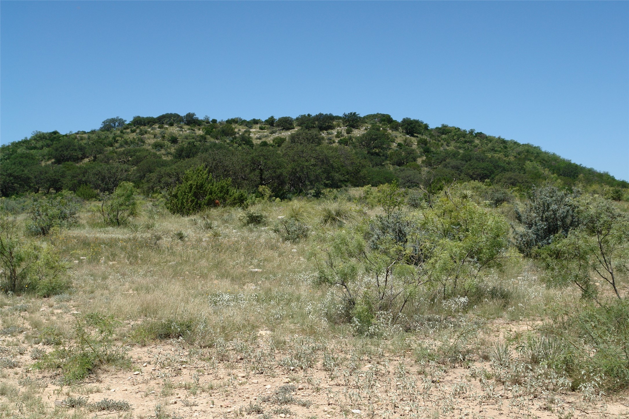 0003 Cr 146 Brady TX 76825