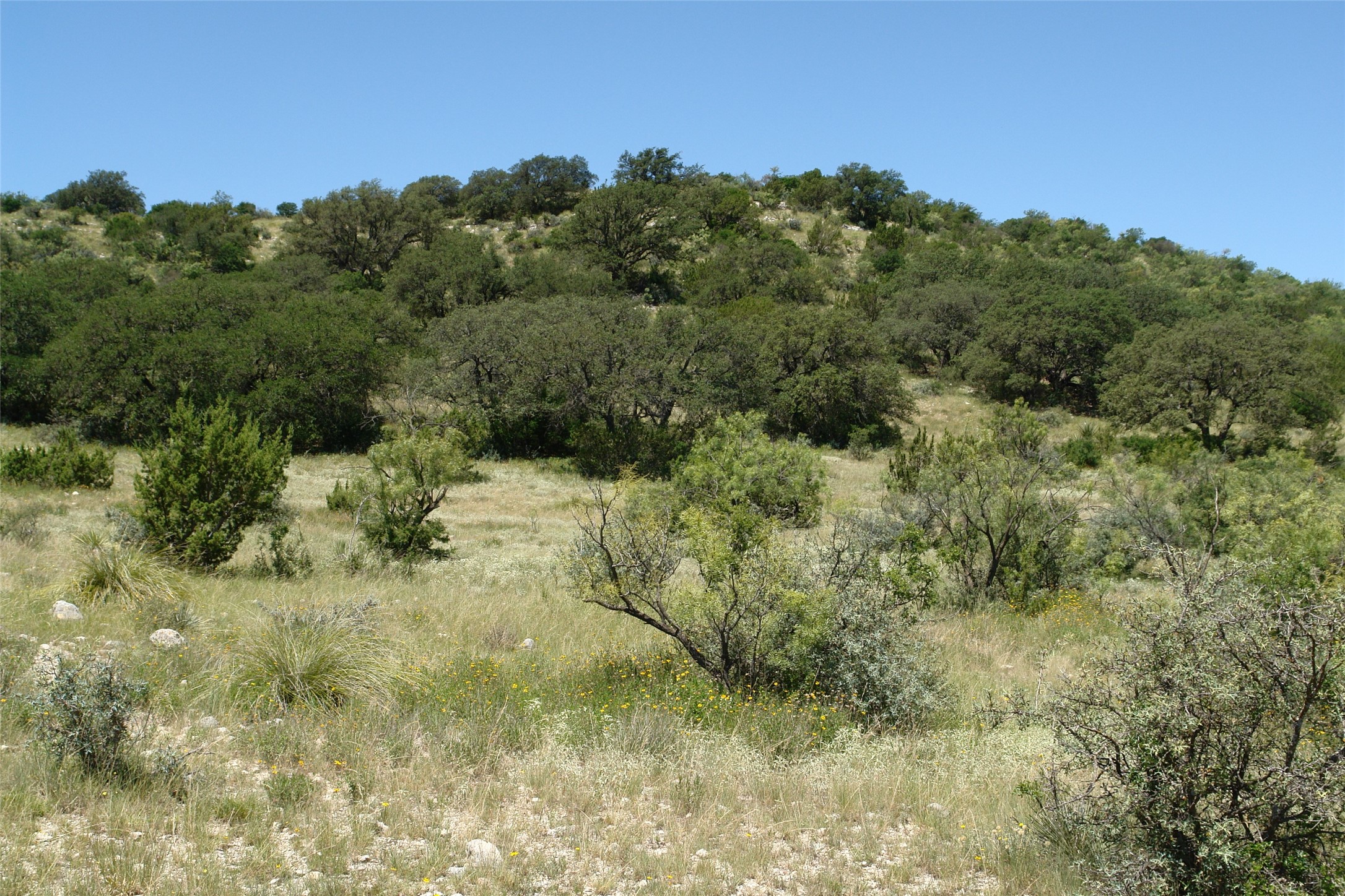 0003 Cr 146 Brady TX 76825