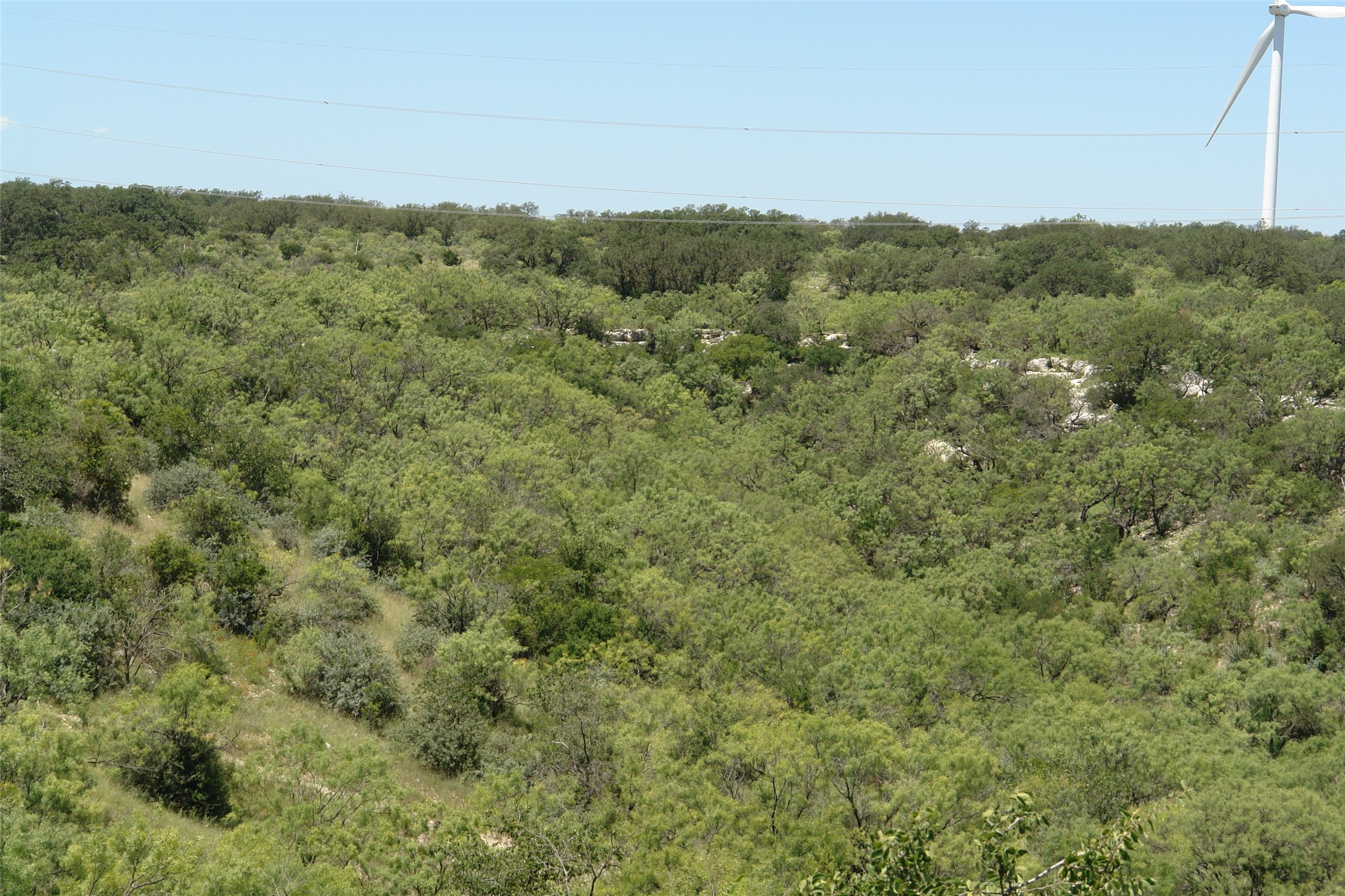 0003 Cr 146 Brady TX 76825