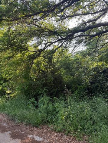 10946 Clover Lane Berryville TX 75763