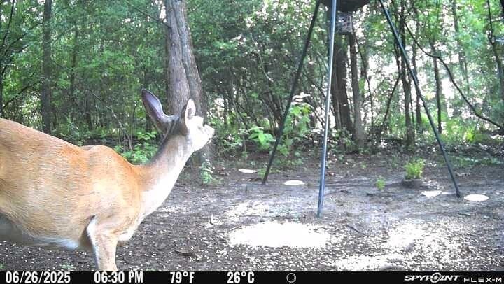 Tbd I-45 Teague TX 75860