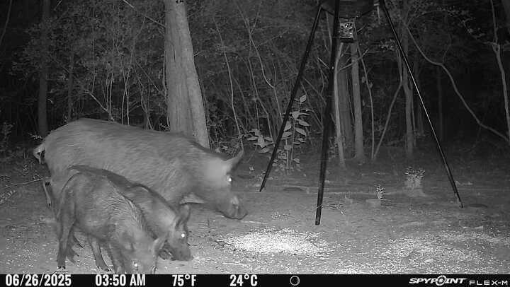 Tbd I-45 Teague TX 75860
