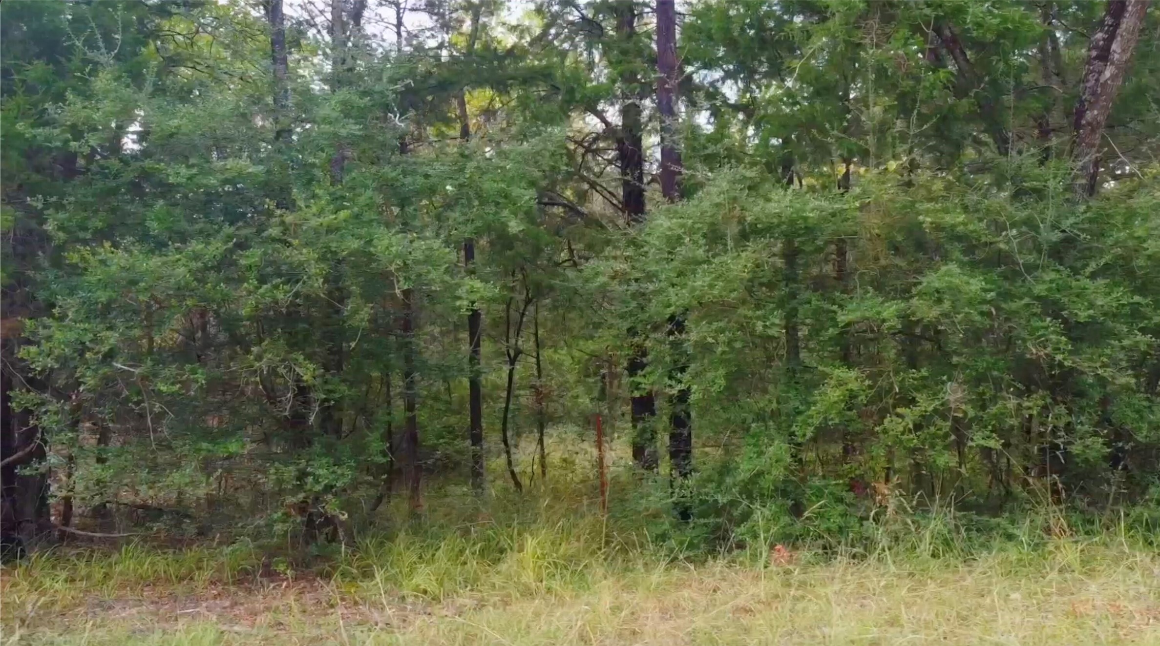 0 Lcr 900 Jewett TX 75846