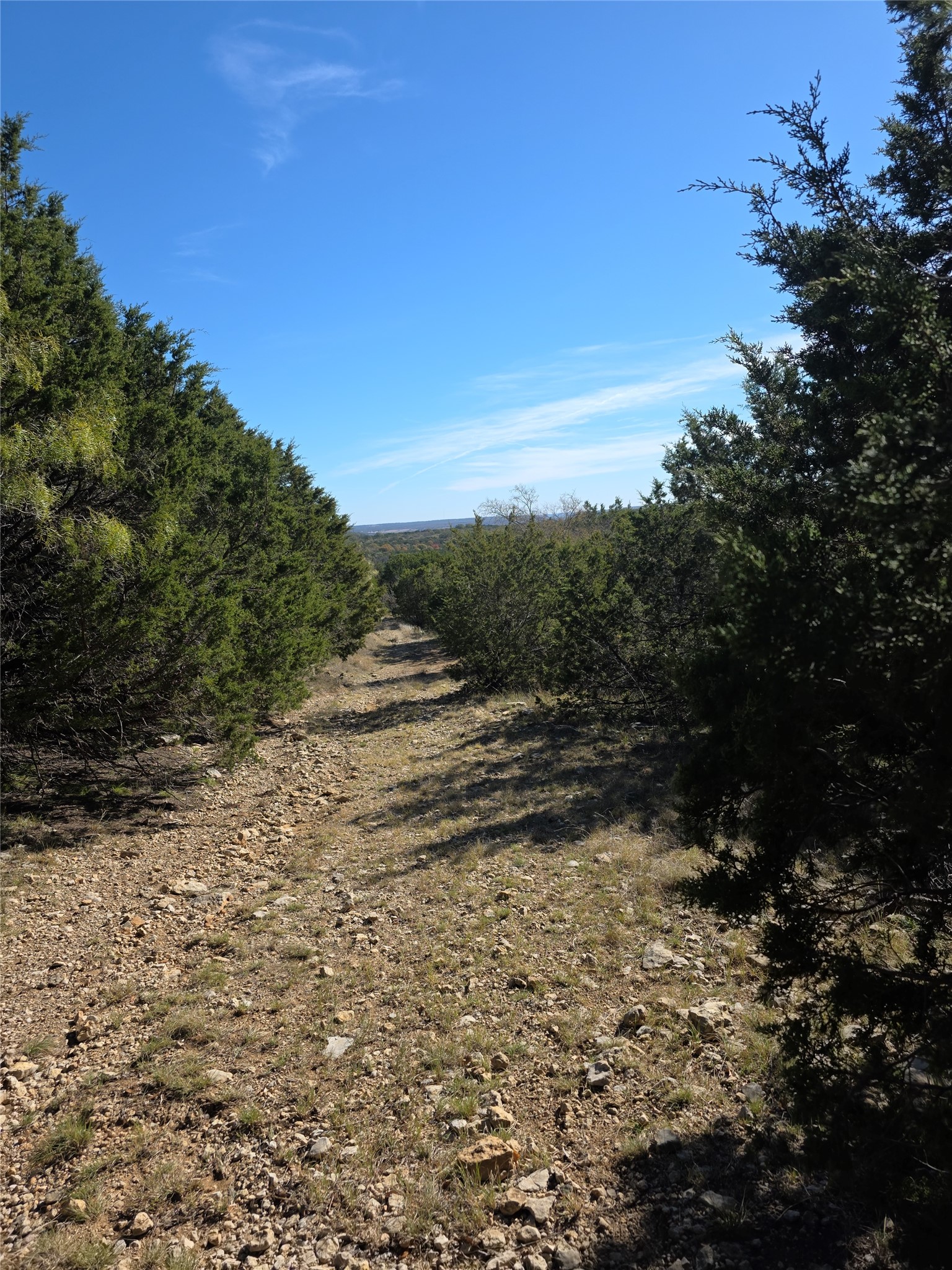 242.442 Acres Mc Clure Ranch Road Gordon TX 76453